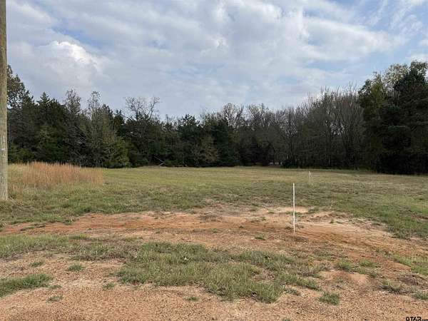 0.4 Acres of Residential Land for Sale in Mount Vernon, Texas