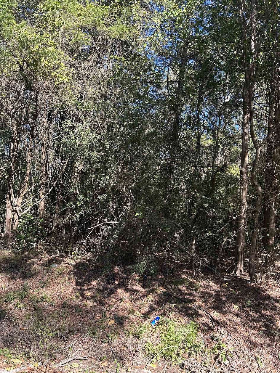 3.1 Acres of Land for Sale in Carthage, Texas