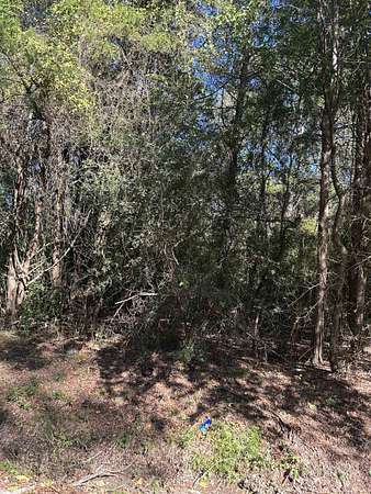 3.1 Acres of Land for Sale in Carthage, Texas