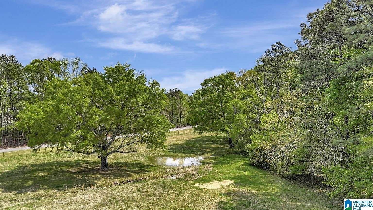 39 Acres of Land with Home for Sale in Ashville, Alabama
