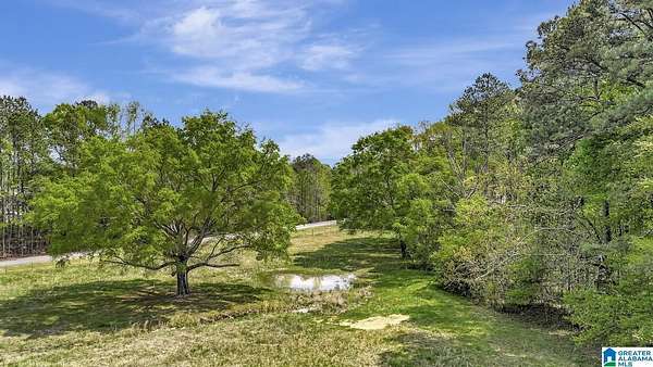 39 Acres of Land with Home for Sale in Ashville, Alabama