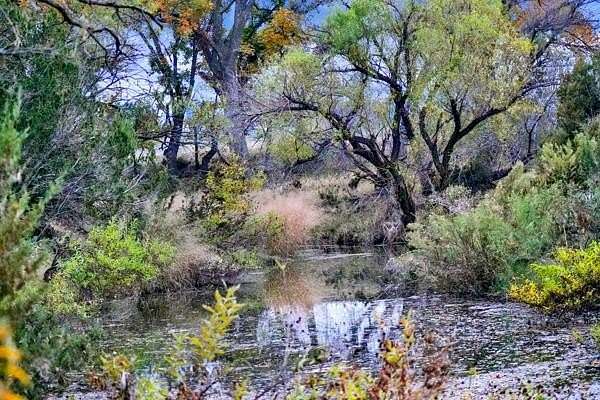 300 Acres of Land for Sale in Christoval, Texas