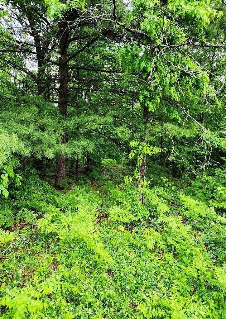 5 Acres of Residential Land for Sale in Howard City, Michigan