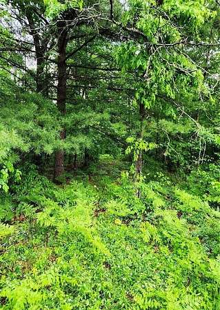 5 Acres of Residential Land for Sale in Howard City, Michigan