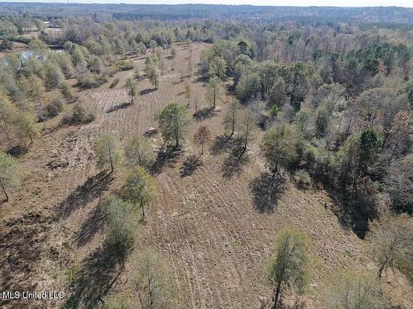 177 Acres of Land for Sale in Little Rock, Mississippi