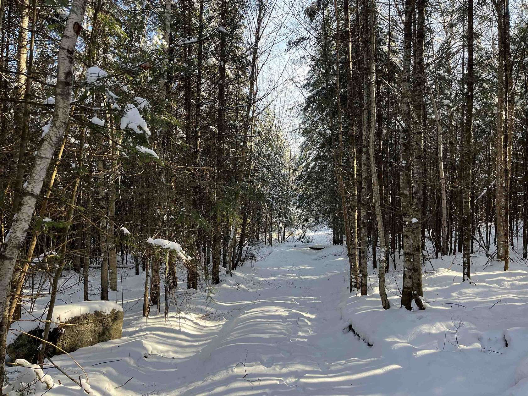 19.8 Acres of Recreational Land for Sale in Glover, Vermont