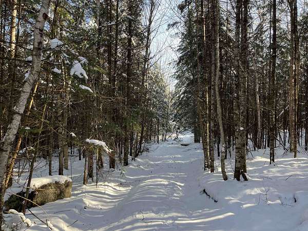 19.8 Acres of Recreational Land for Sale in Glover, Vermont