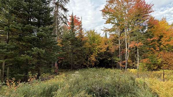 19.8 Acres of Recreational Land for Sale in Glover, Vermont