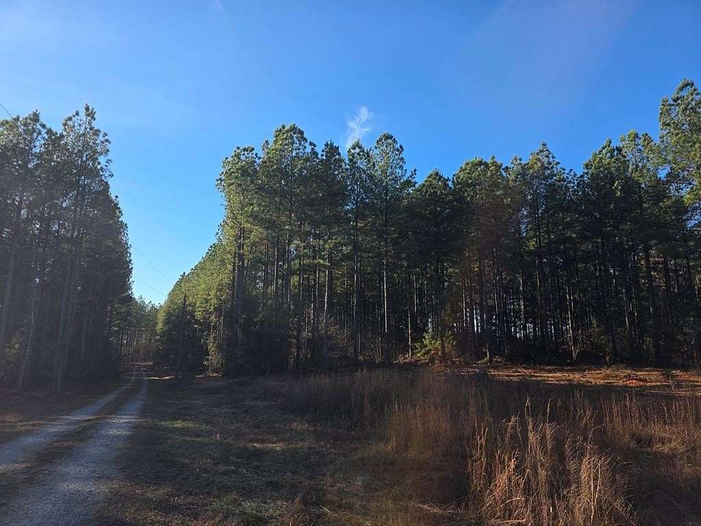 25 Acres of Recreational Land for Sale in Meherrin, Virginia