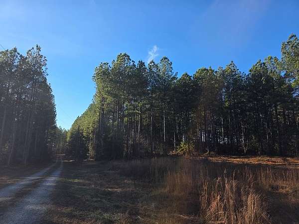 25 Acres of Recreational Land for Sale in Meherrin, Virginia