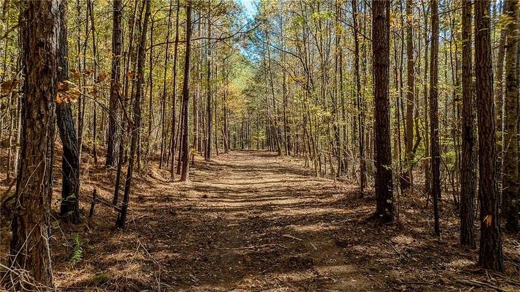 21.6 Acres of Land for Sale in Chattahoochee Hills, Georgia