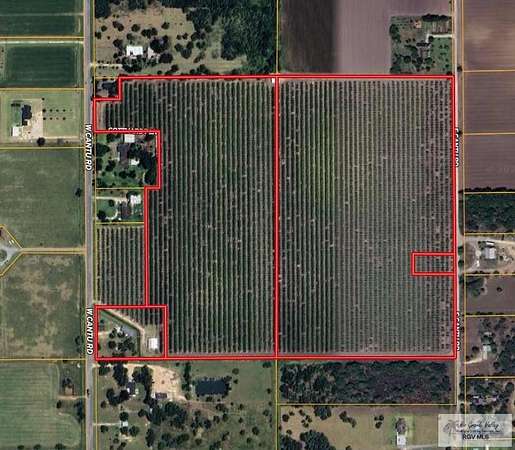 52 Acres of Agricultural Land for Sale in La Feria, Texas