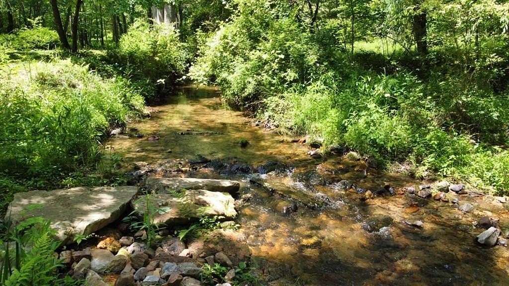 2.5 Acres of Residential Land for Sale in Blairsville, Georgia