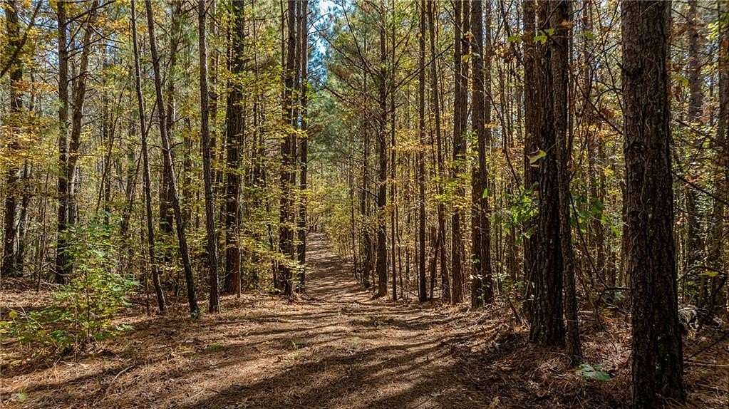 17.3 Acres of Land for Sale in Chattahoochee Hills, Georgia