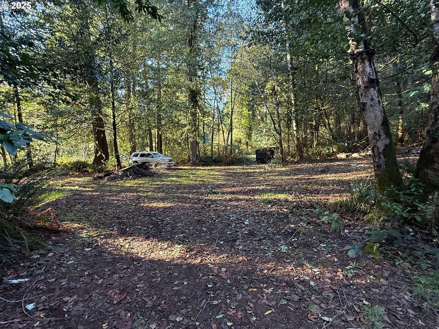 0.72 Acres of Residential Land for Sale in Mapleton, Oregon