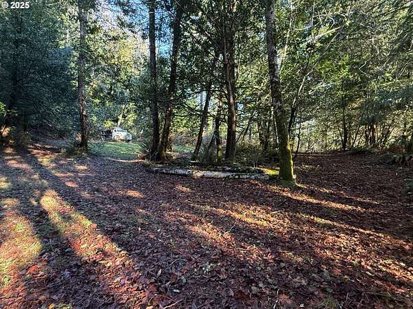 0.72 Acres of Residential Land for Sale in Mapleton, Oregon