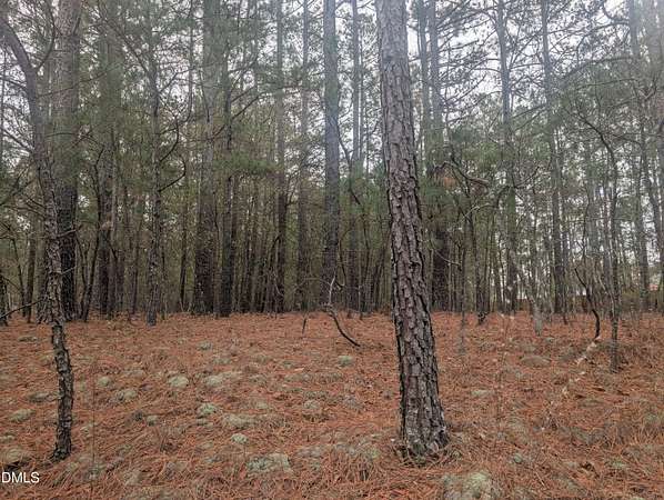1 Acre of Residential Land for Sale in Eagle Springs, North Carolina