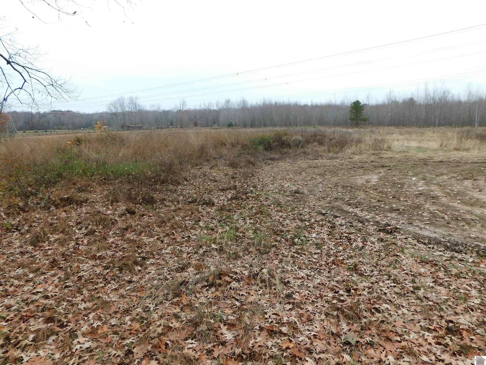 11.9 Acres of Land for Sale in Benton, Kentucky