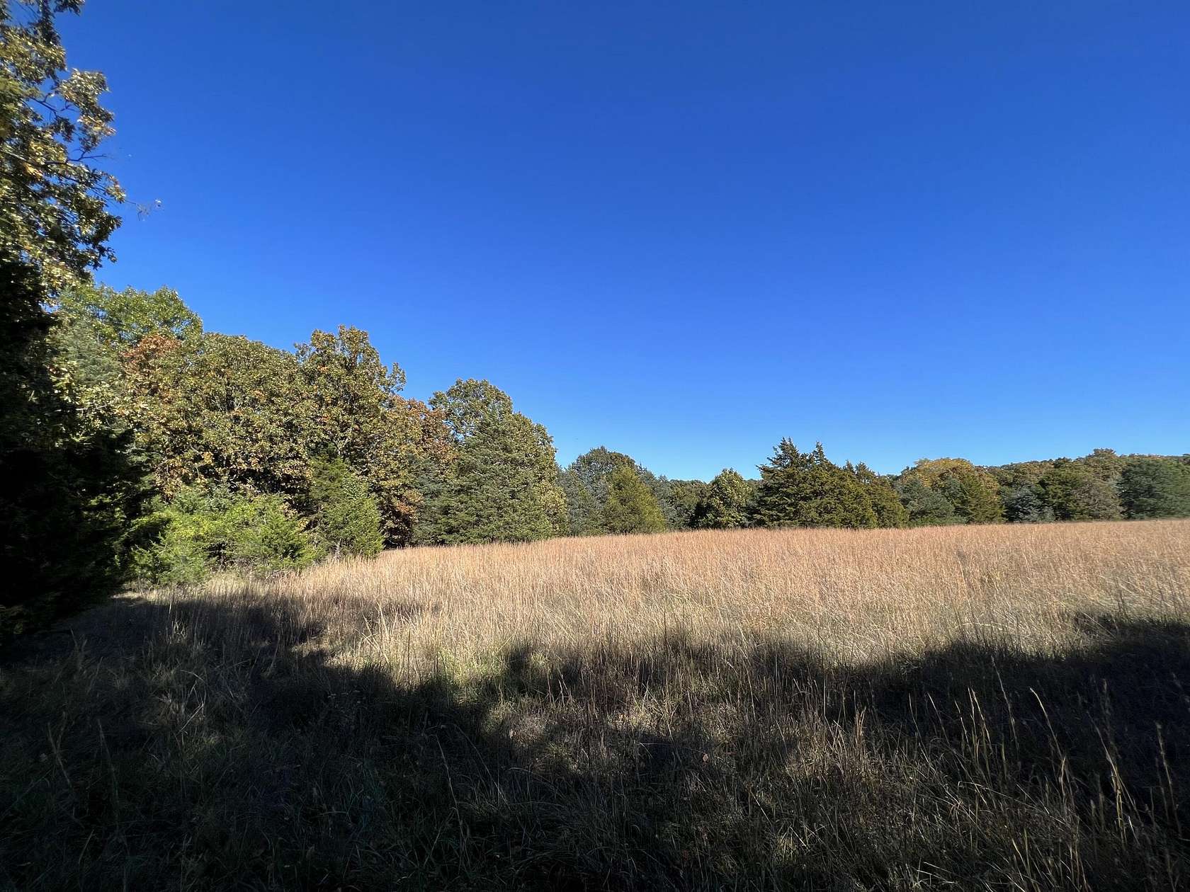 17.5 Acres of Land for Sale in Strafford, Missouri