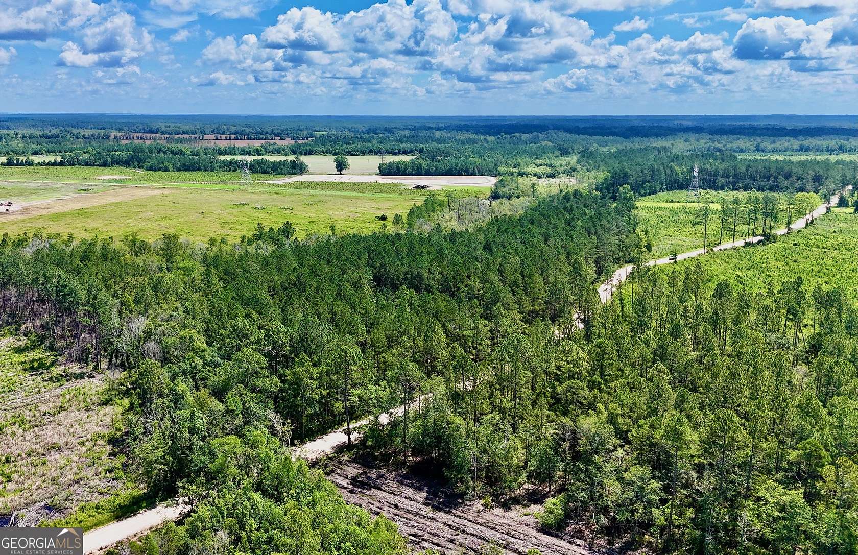 32 Acres of Recreational Land for Sale in Odum, Georgia