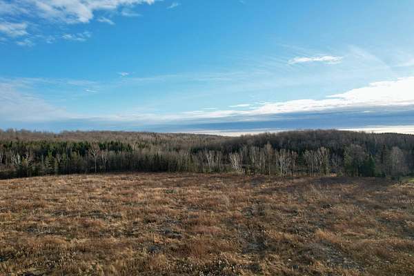 9.89 Acres of Land for Sale in Crandon, Wisconsin