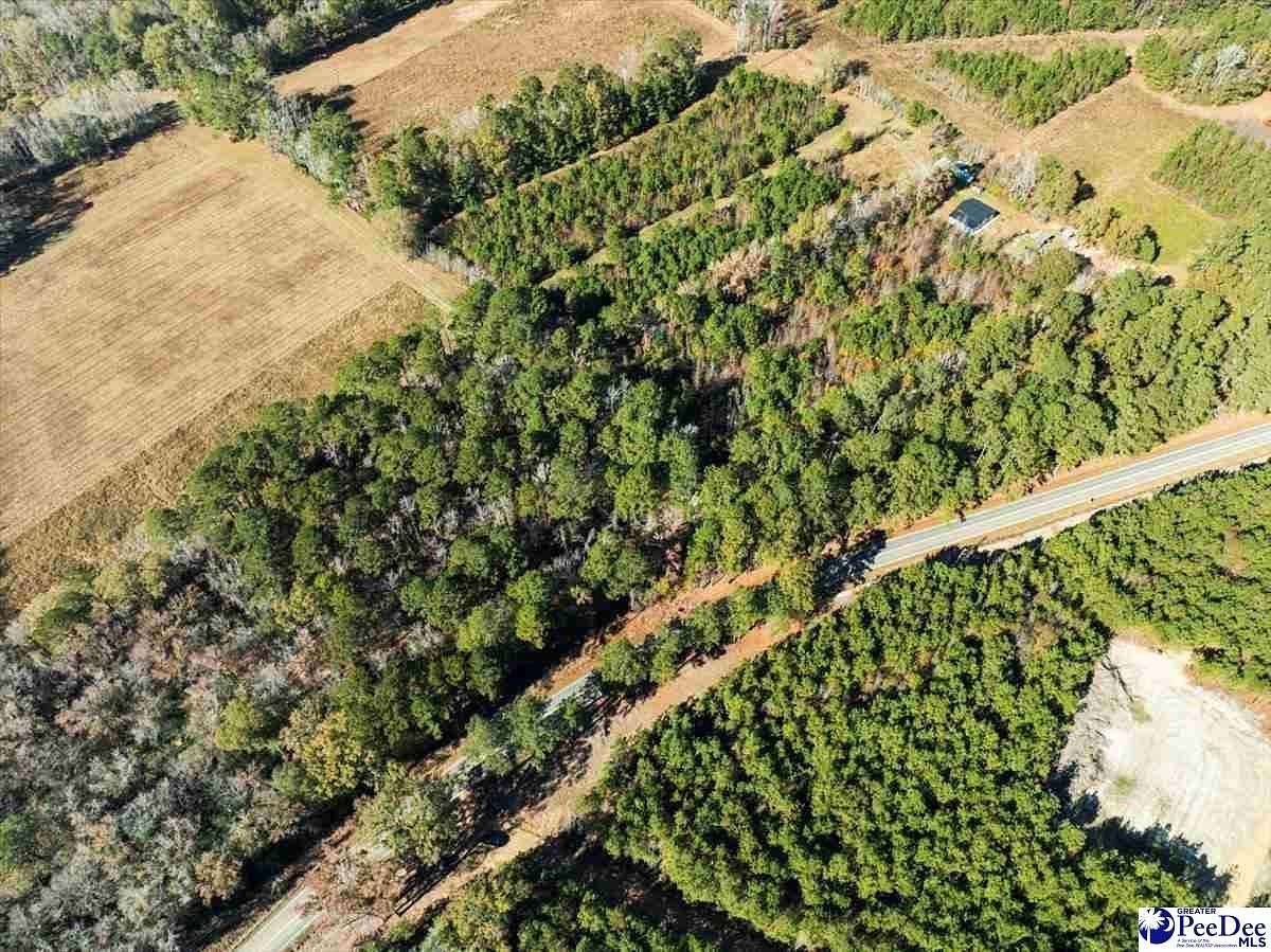 2.39 Acres of Residential Land for Sale in Marion, South Carolina