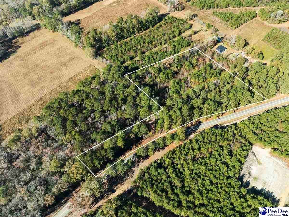 2.39 Acres of Residential Land for Sale in Marion, South Carolina