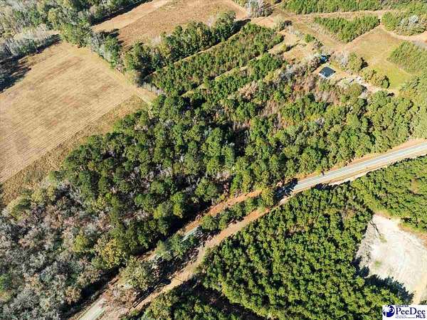 2.39 Acres of Residential Land for Sale in Marion, South Carolina