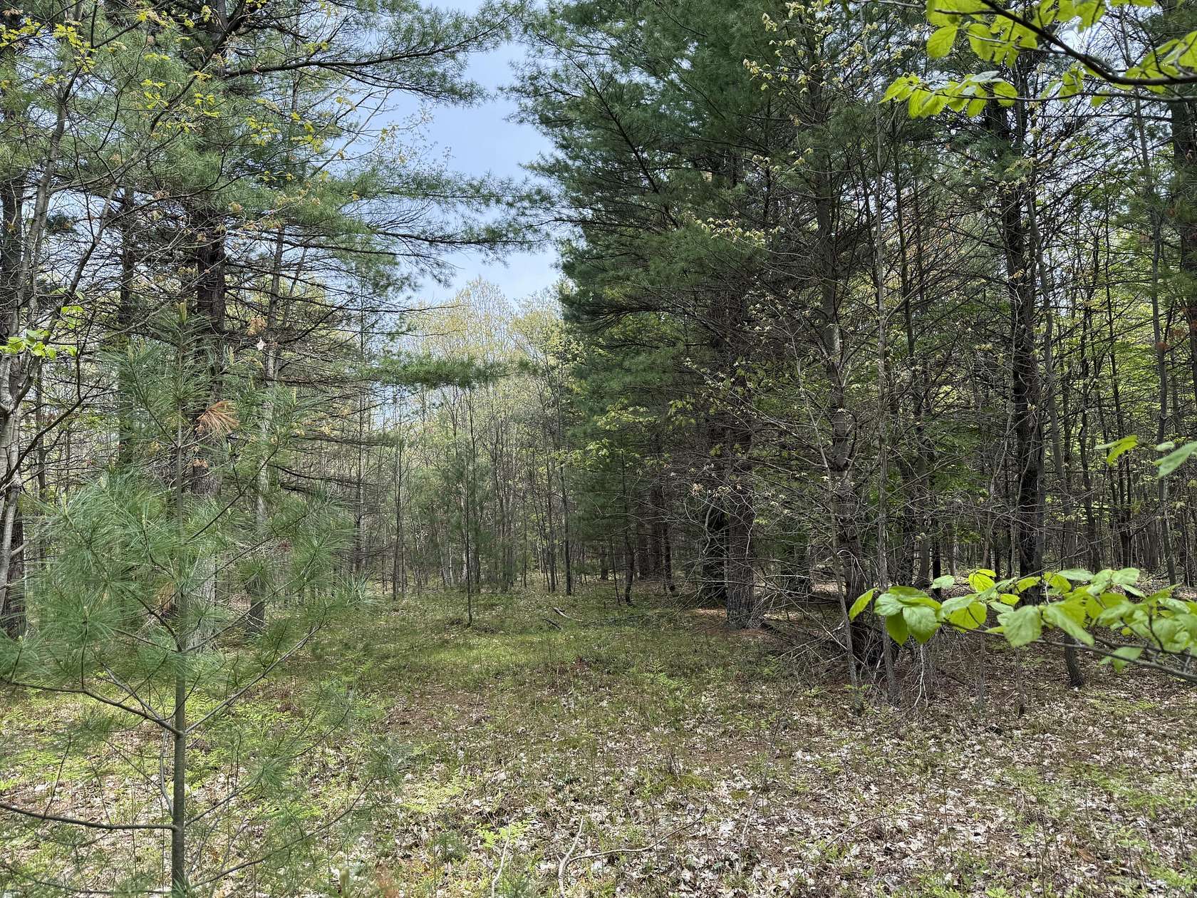 11.9 Acres of Land for Sale in Manistee, Michigan