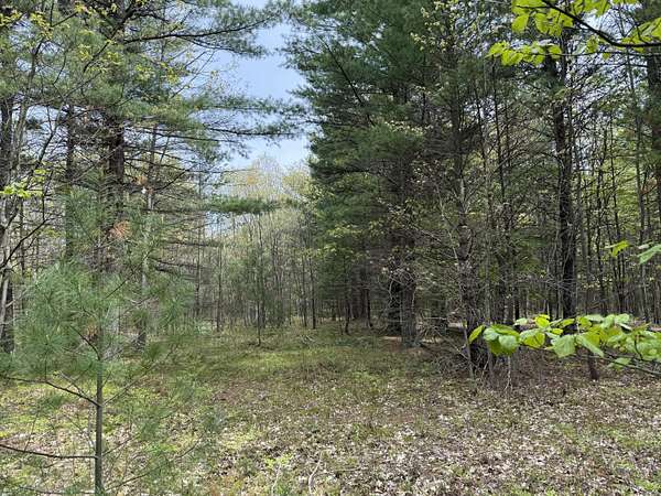 11.9 Acres of Land for Sale in Manistee, Michigan