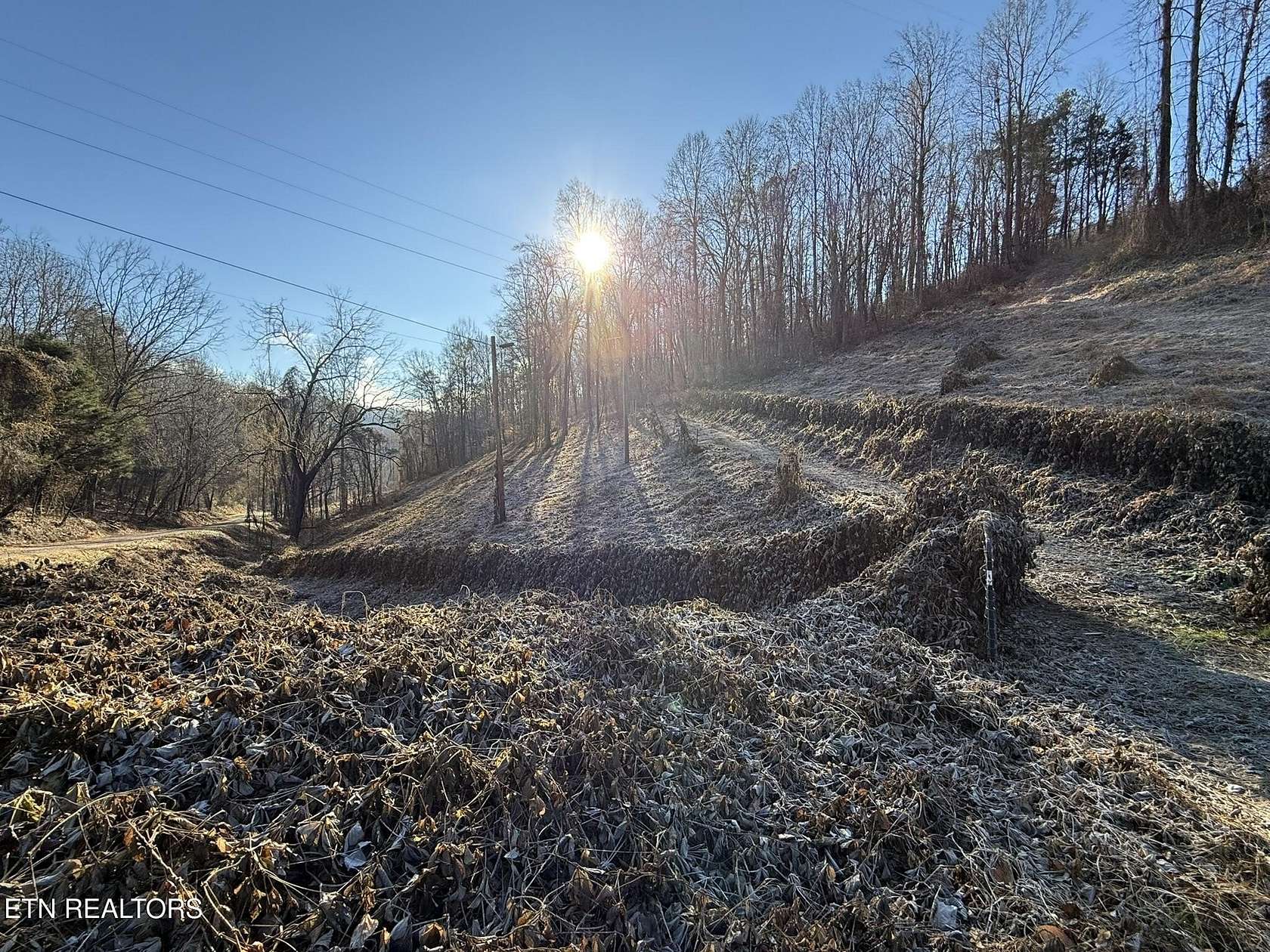 6.3 Acres of Land for Sale in Speedwell, Tennessee