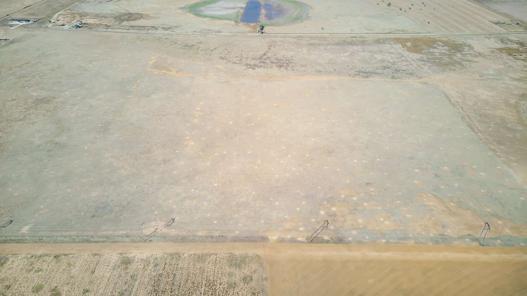 20 Acres of Agricultural Land for Sale in Abernathy, Texas