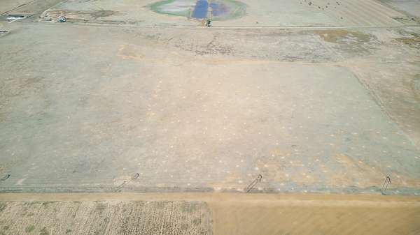 20 Acres of Agricultural Land for Sale in Abernathy, Texas