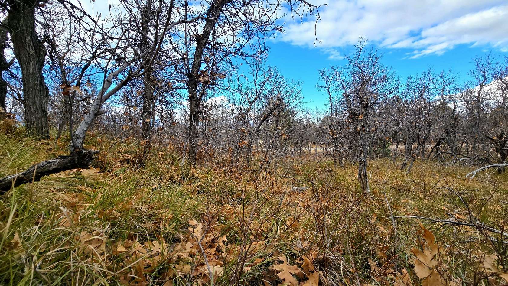 1 Acre of Residential Land for Sale in Mount Pleasant, Utah