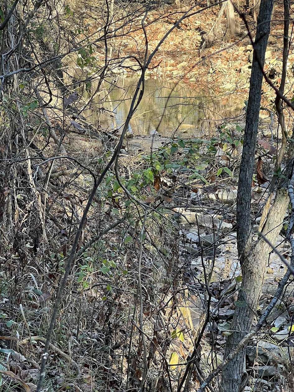 5 Acres of Mixed-Use Land for Sale in Pyatt, Arkansas