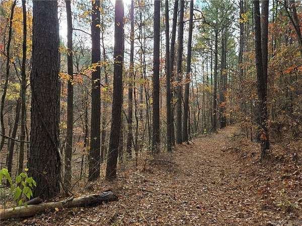 40 Acres of Recreational Land for Sale in Hattieville, Arkansas