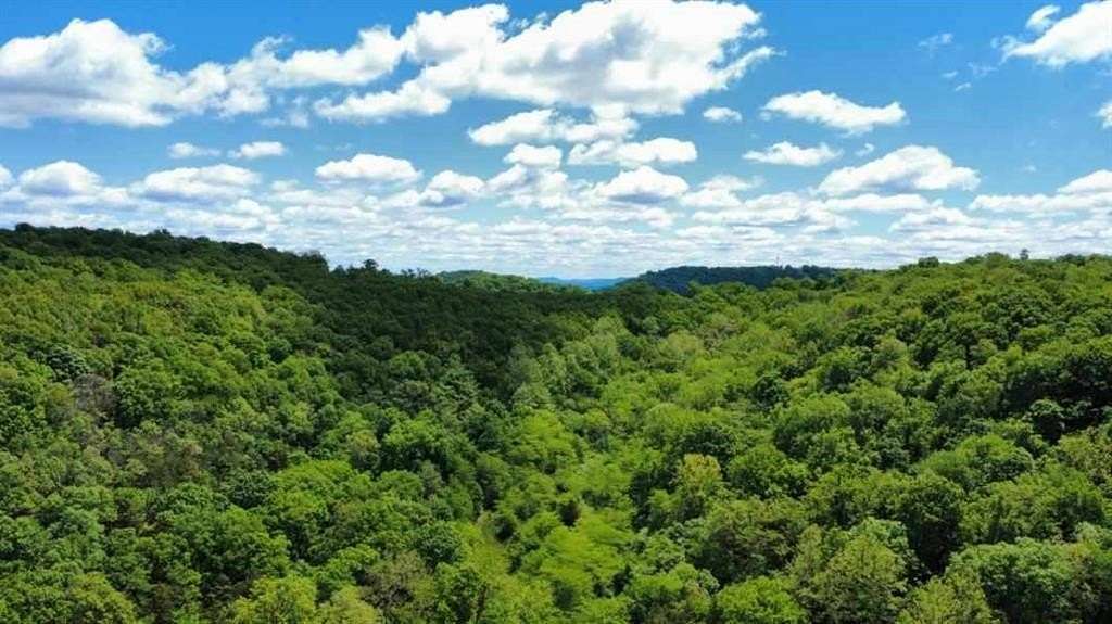 95 Acres of Land for Sale in Green Forest, Arkansas