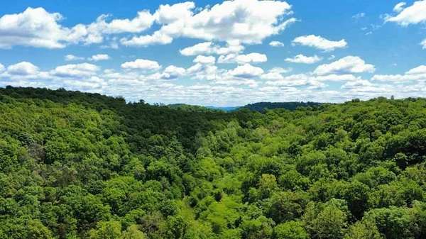 95 Acres of Land for Sale in Green Forest, Arkansas