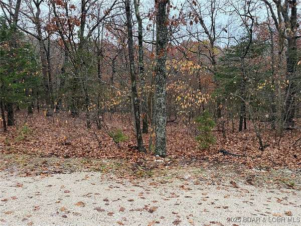 0.23 Acres of Residential Land for Sale in Village of Four Seasons, Missouri