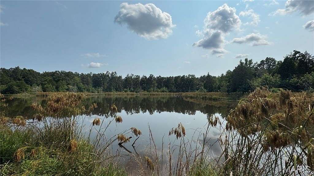 78 Acres of Agricultural Land for Sale in Doniphan, Missouri