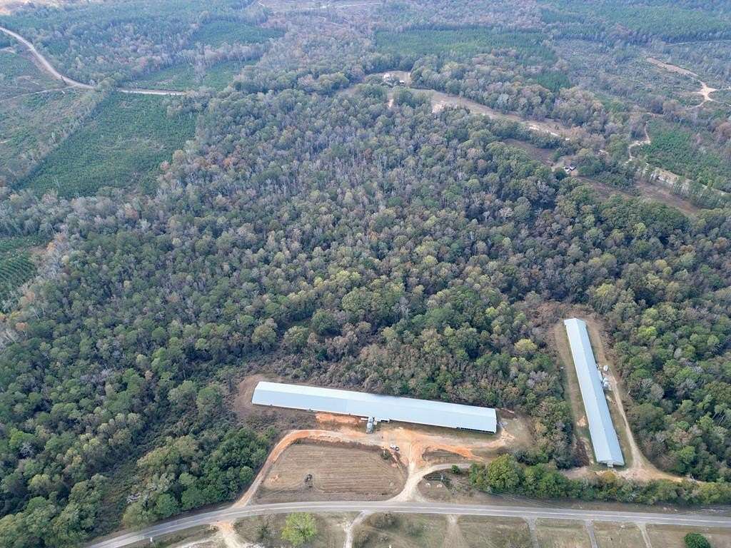 32 Acres of Agricultural Land for Sale in Luverne, Alabama
