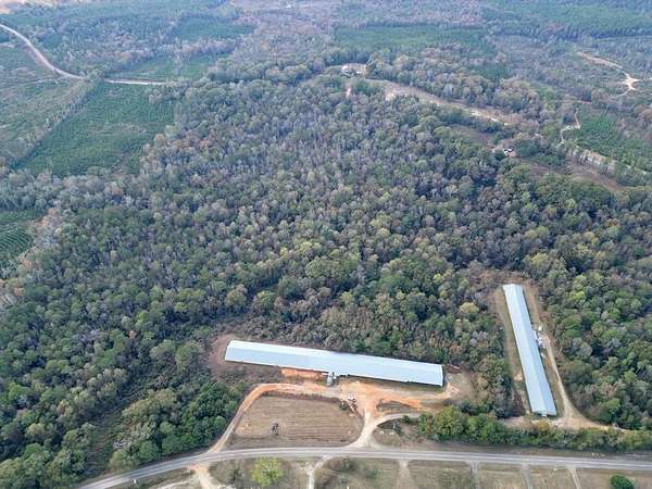 32 Acres of Agricultural Land for Sale in Luverne, Alabama