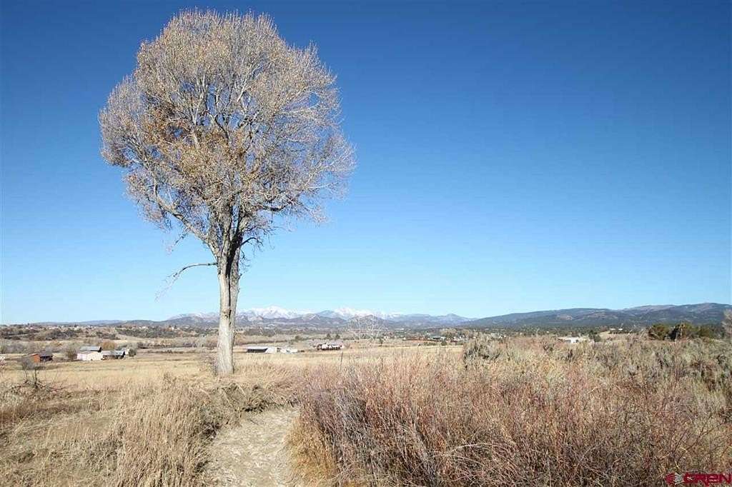 29 Acres of Agricultural Land for Sale in Durango, Colorado