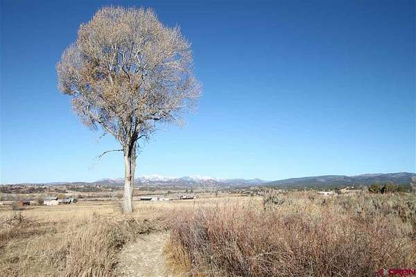 29 Acres of Agricultural Land for Sale in Durango, Colorado