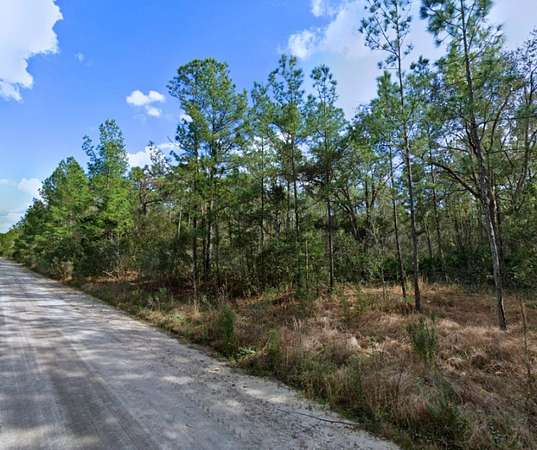 0.28 Acres of Residential Land for Sale in Palatka, Florida