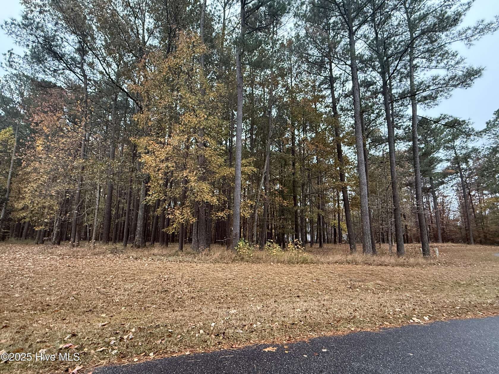 0.53 Acres of Residential Land for Sale in Hertford, North Carolina