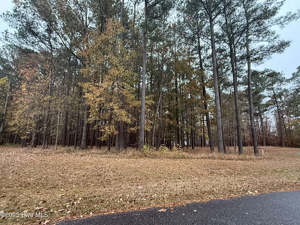 0.47 Acres of Residential Land for Sale in Hertford, North Carolina