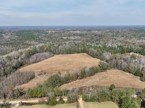 25 Acres of Agricultural Land for Sale in Canton, Mississippi