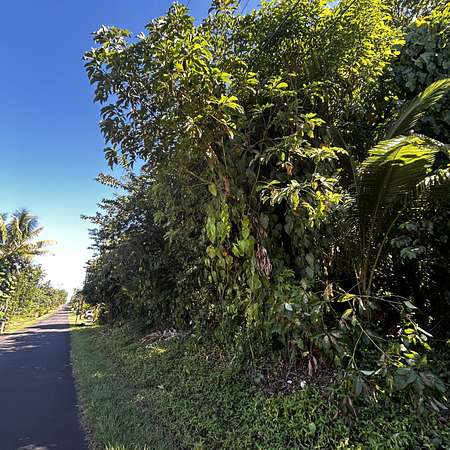 0.28 Acres of Land for Sale in Pahoa, Hawaii