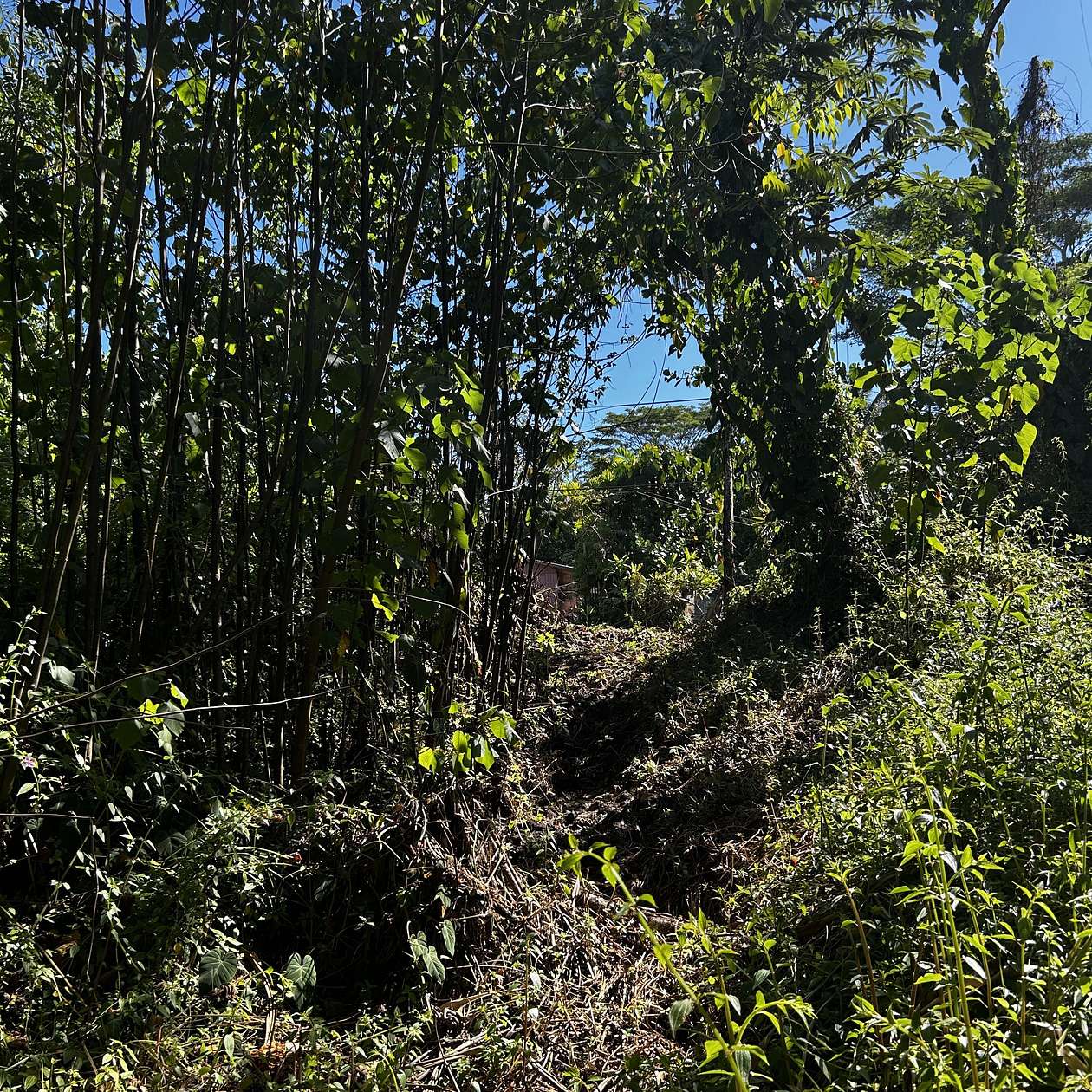 0.28 Acres of Land for Sale in Pahoa, Hawaii